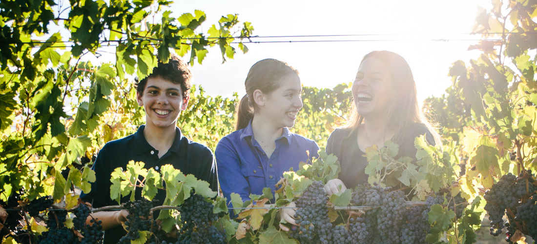 Zema family in the vines